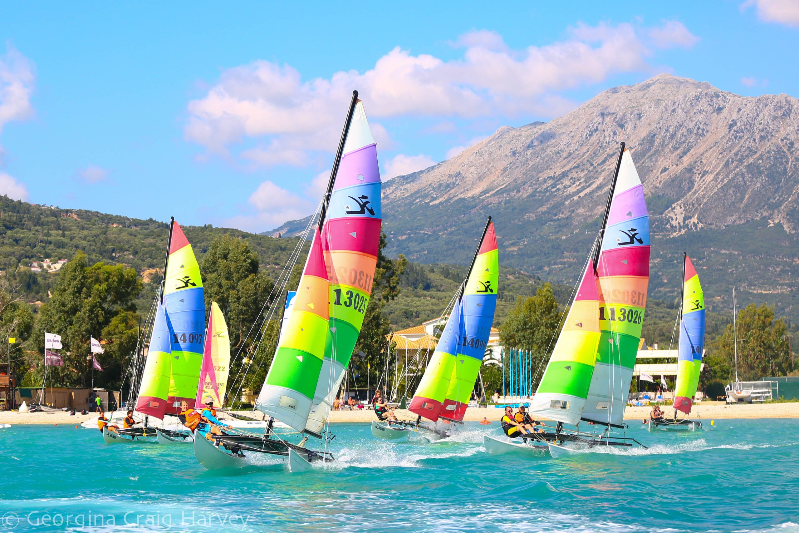 Wildwind 1